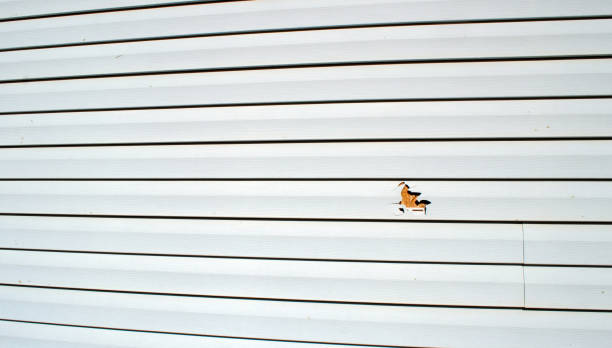 Best Siding for New Construction  in Buford, GA