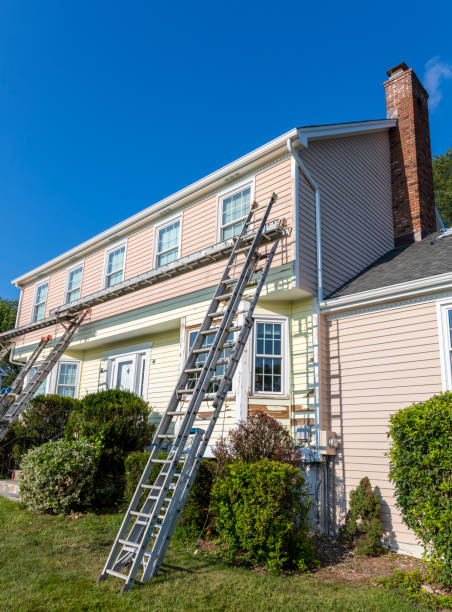 Best Siding Painting and Refinishing  in Buford, GA